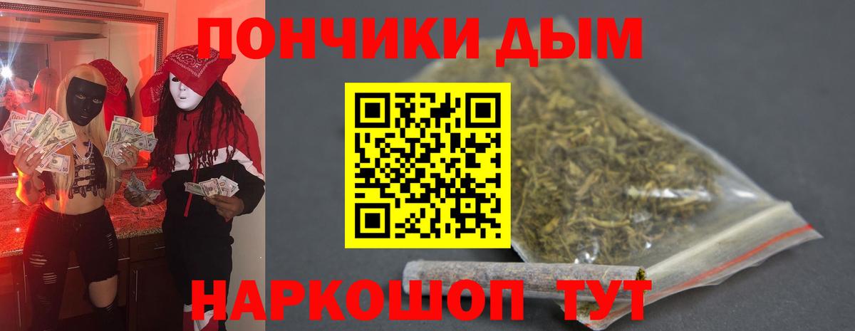 Марихуана сатива Котельники